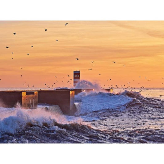 Faro