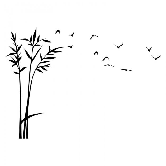 Pianta