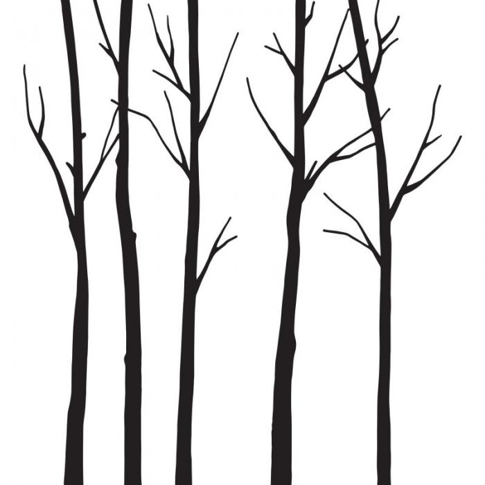 Alberi