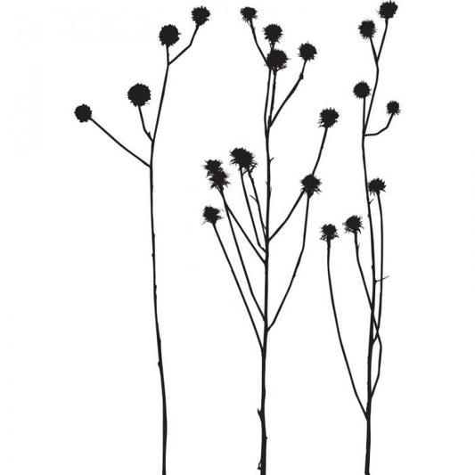 Fiori di campo