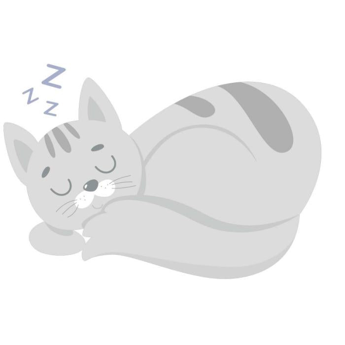 Gatto che dorme