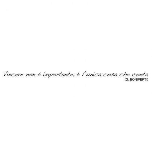 Vincere non è importante