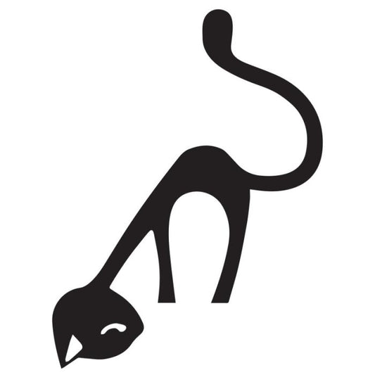 Gatto curioso