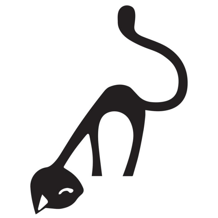 Gatto curioso