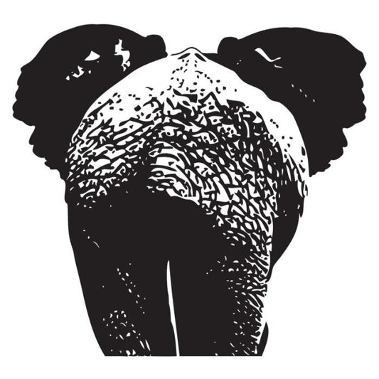 Elefante