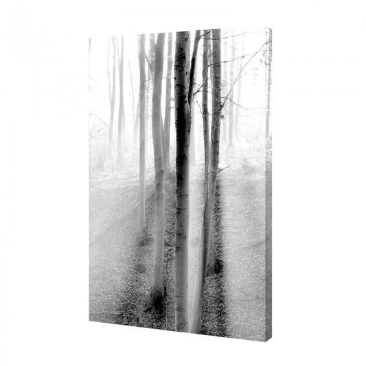 Canvas - Alberi