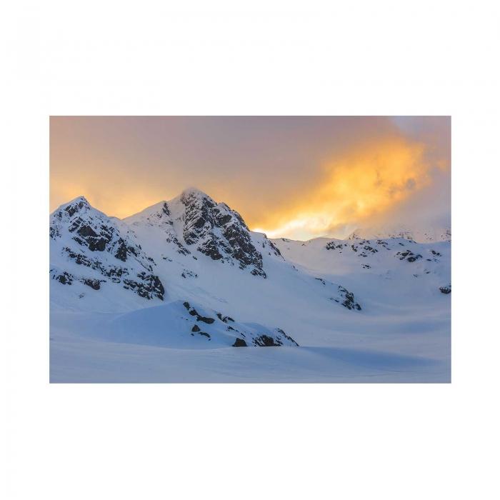 Canvas - Neve
