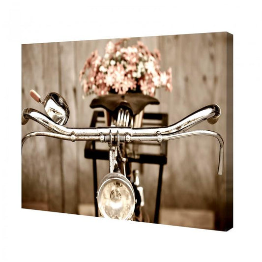 Canvas - Bicicletta
