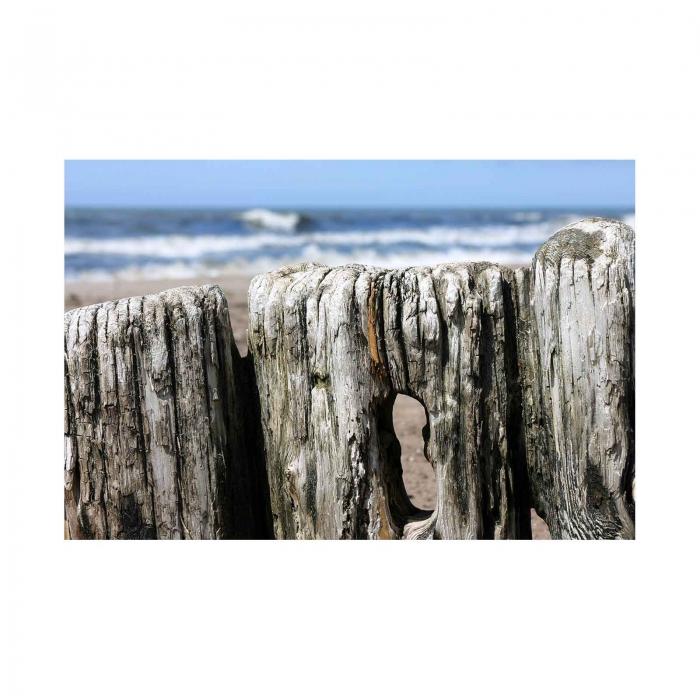 Canvas - Mare