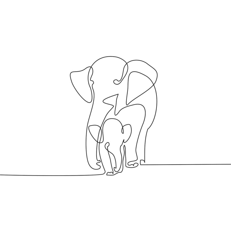 Famiglia di elefanti