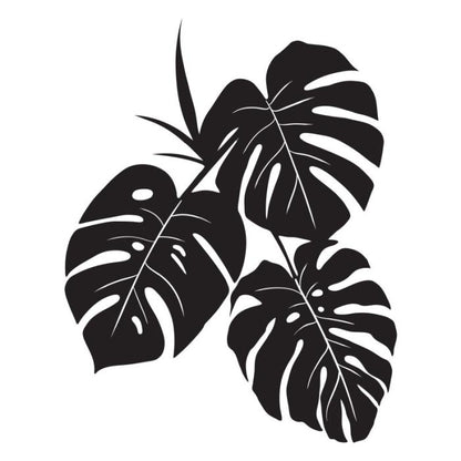 Monstera