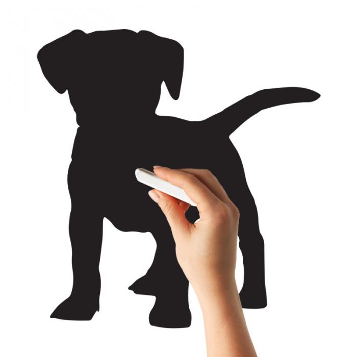 Cagnolino 1