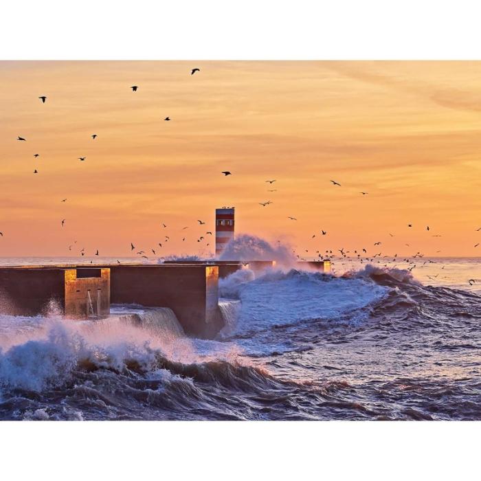 Faro