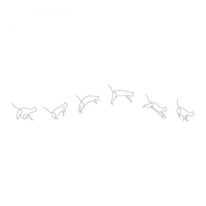 Gatto in movimento