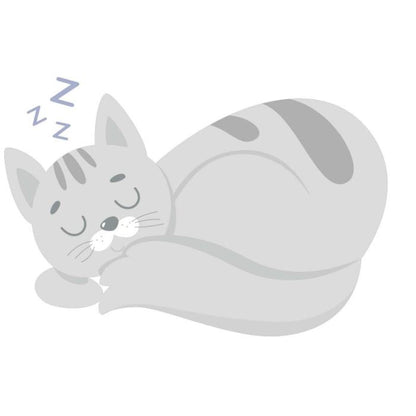 Gatto che dorme
