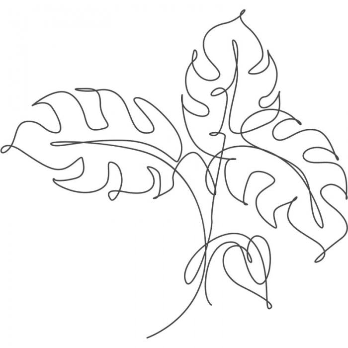 Monstera stilizzata