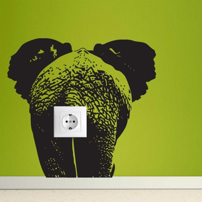Elefante