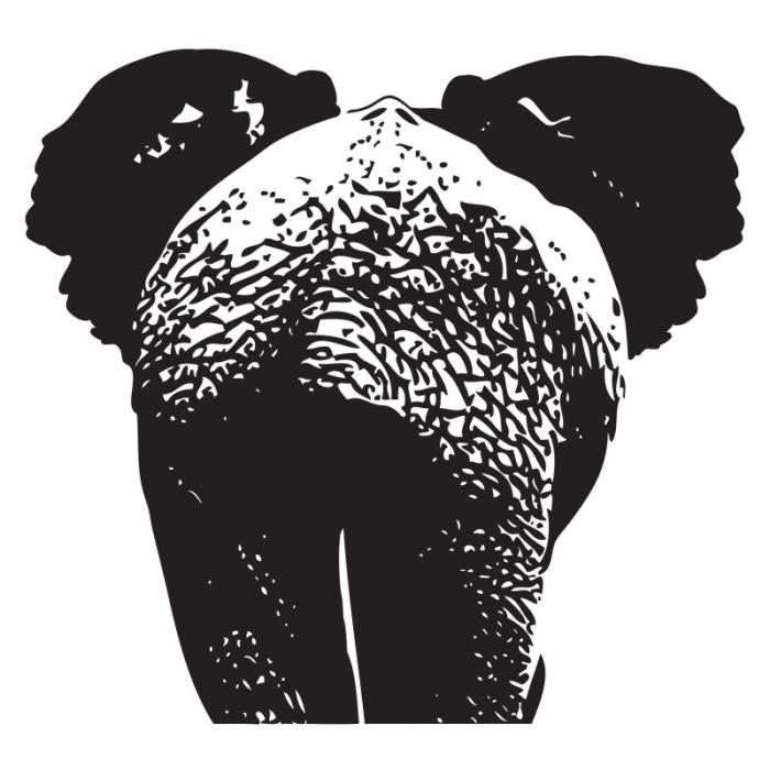 Elefante