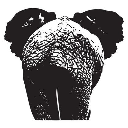 Elefante