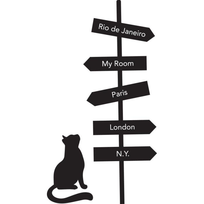 Gatto indicazioni