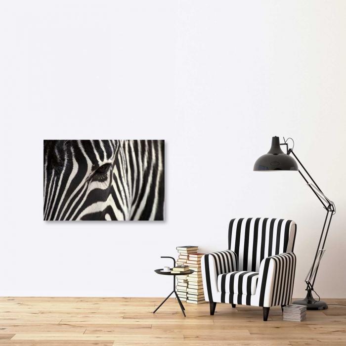 Canvas - Zebra