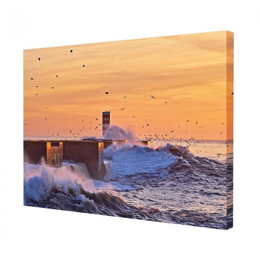 Canvas - Faro