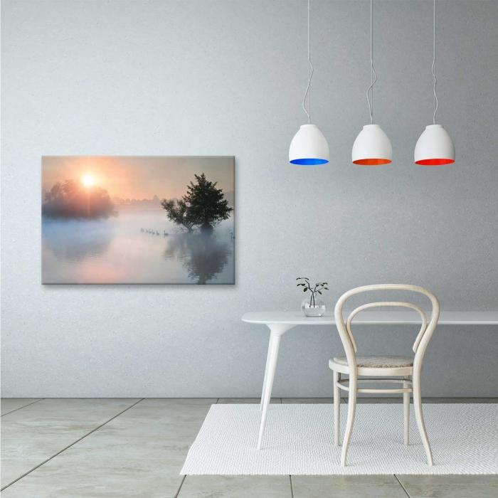 Canvas - Cigni
