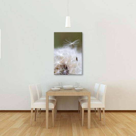 Canvas - Soffione