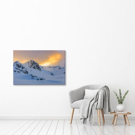 Canvas - Neve