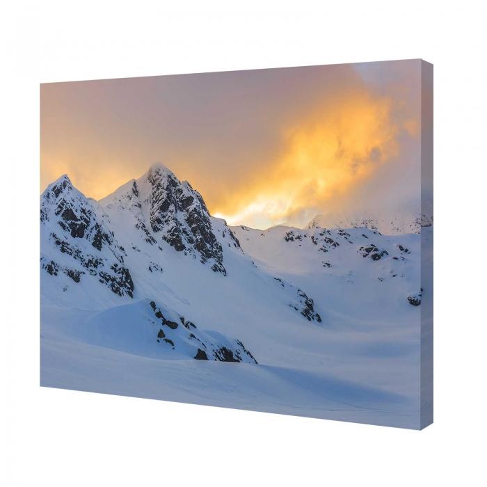 Canvas - Neve