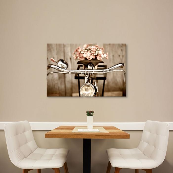 Canvas - Bicicletta