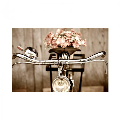 Canvas - Bicicletta