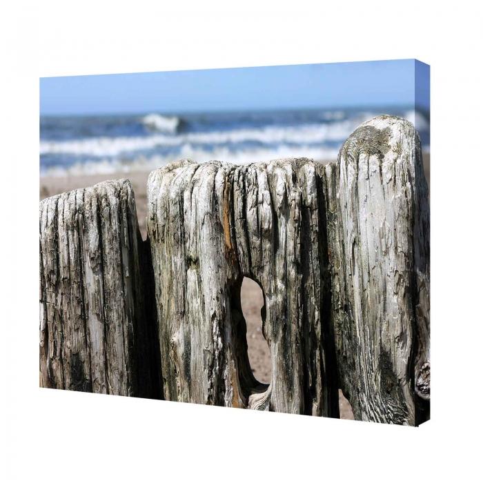 Canvas - Mare