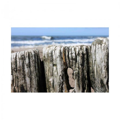 Canvas - Mare