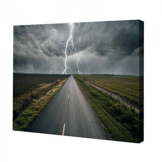 Canvas - Fulmine