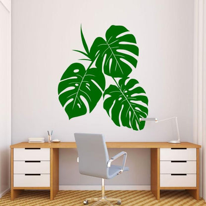 Monstera